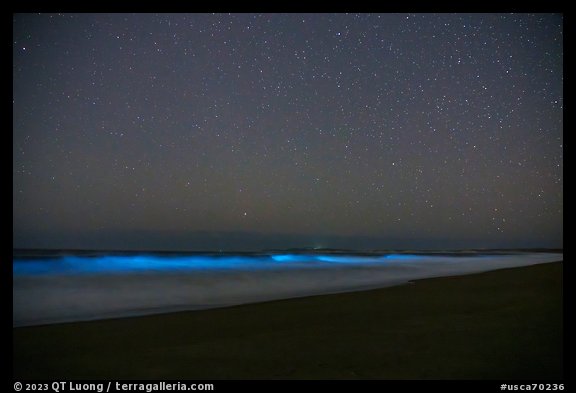 Bioluminescence in surf. Point Reyes National Seashore, California, USA (color)