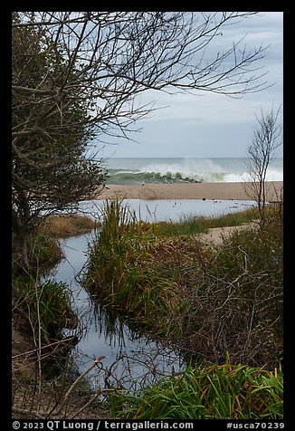 Stream and surf. Point Reyes National Seashore, California, USA (color)