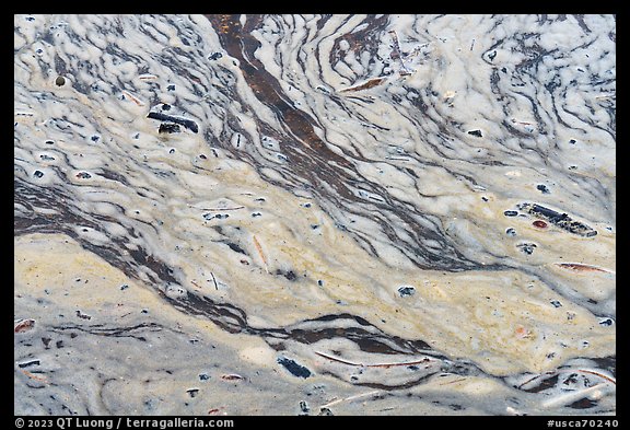 Pond surface detail. Point Reyes National Seashore, California, USA