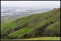 Fremont and San Francisco Bay from Monument Peak, Ed Levin County Park. California, USA ( color)