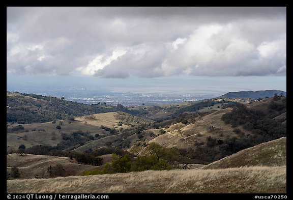Oak-covered hills with San Francisco Bay in the distance, Joseph Grant County Park. San Jose, California, USA (color)