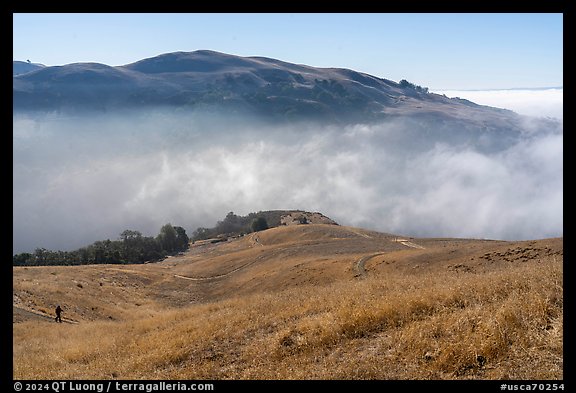 Hiker on hills above low fog in Alum Rock Canyon, Sierra Vista Open Space Preserve. San Jose, California, USA (color)