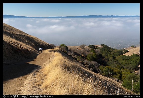 Hiker on trail above low fog in Silicon Valley, Sierra Vista Open Space Preserve. San Jose, California, USA