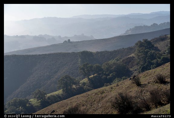 Ridges, Santa Teresa County Park. California, USA (color)