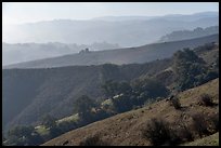 Ridges, Santa Teresa County Park. California, USA ( color)