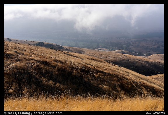 Grassy hills, Coyote Ridge Open Space Preserve. California, USA (color)