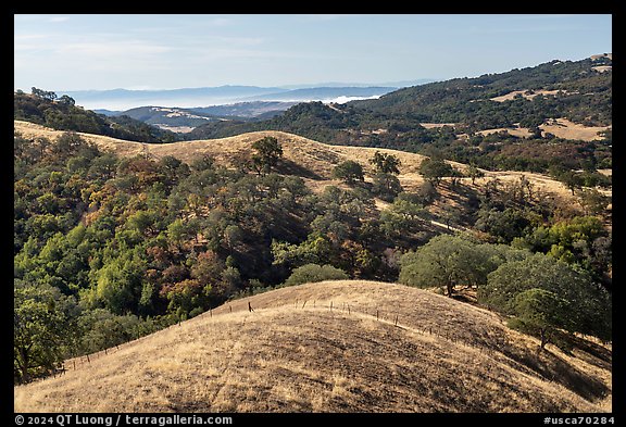 Rolling hills and oaks, Joseph Grant County Park. San Jose, California, USA (color)