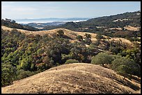 Rolling hills and oaks, Joseph Grant County Park. San Jose, California, USA ( color)