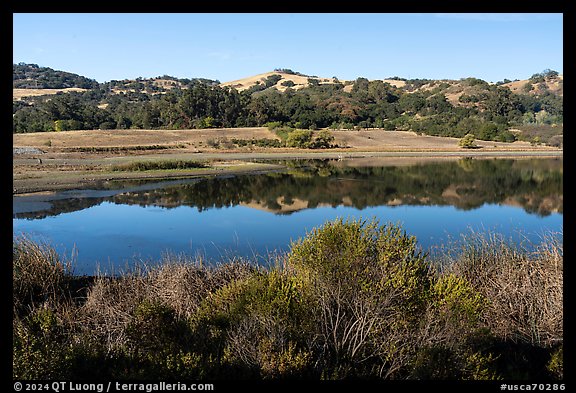 Grant Lake in summer, Joseph Grant County Park. San Jose, California, USA