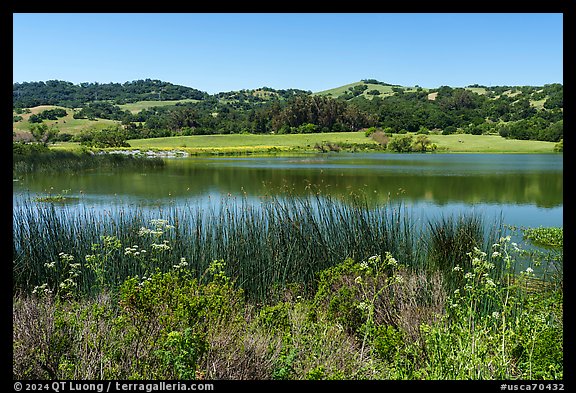 Grant Lake in springime, Joseph Grant County Park. San Jose, California, USA (color)