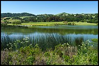 Grant Lake in springime, Joseph Grant County Park. San Jose, California, USA ( color)