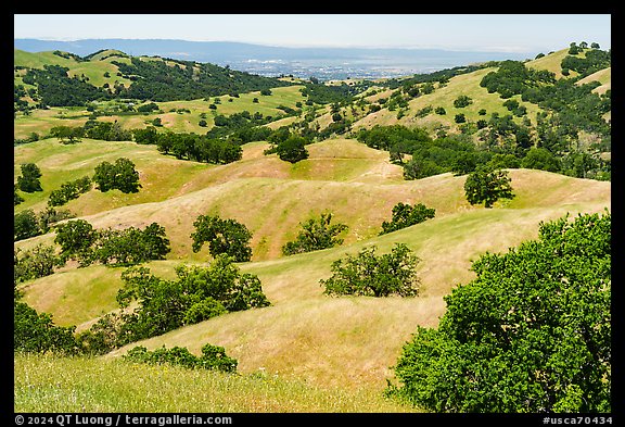 Springtime hllls and Silicon Valley in the distance, Joseph Grant County Park. San Jose, California, USA (color)