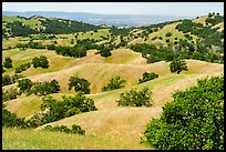 Springtime hllls and Silicon Valley in the distance, Joseph Grant County Park. San Jose, California, USA ( color)