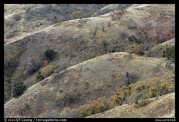 Hills and ridges in autumn, Joseph Grant County Park. San Jose, California, USA