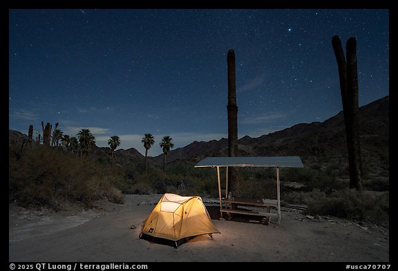 Corn Springs Campground at night. Chuckwalla National Monument, California, USA (color)