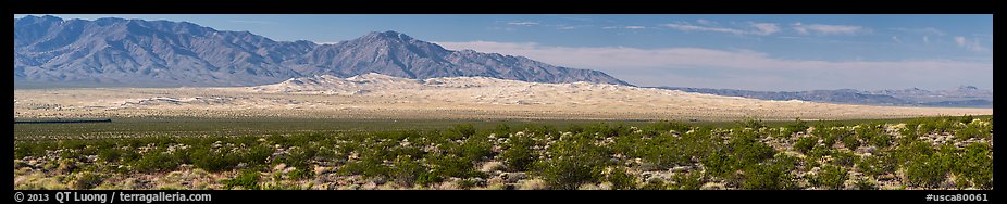 Vast Kelso Sand Dune field. Mojave National Preserve, California, USA (color)