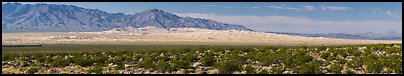 Vast Kelso Sand Dune field. Mojave National Preserve, California, USA (Panoramic color)