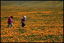 Children playing in a field of Poppies. Antelope Valley, California, USA ( color)