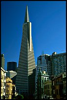 Transamerica Pyramid and Columbus Tower. San Francisco, California, USA