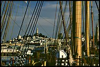 Telegraph Hill and Coit Tower seen through the masts of the Balclutha. San Francisco, California, USA