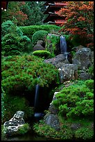 Cascade in the Japanese Garden, Golden Gate Park. San Francisco, California, USA (color)