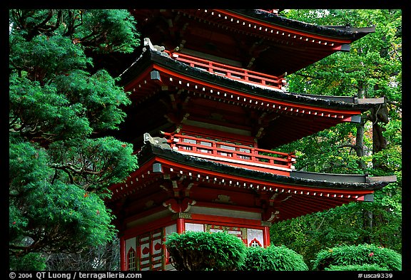 Pagoda, Japanese Garden, Golden Gate Park. San Francisco, California, USA (color)