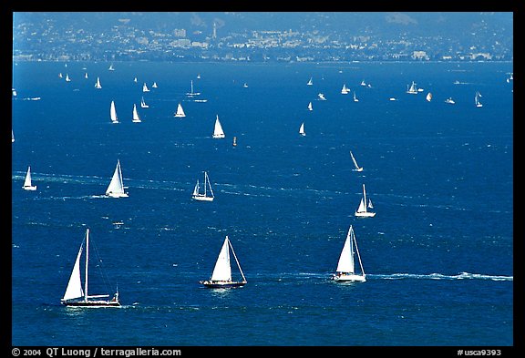 Sailboats in the Bay, seen from Marin. California, USA