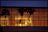 Palm Trees reflected in large bay windows at sunset. San Francisco, California, USA