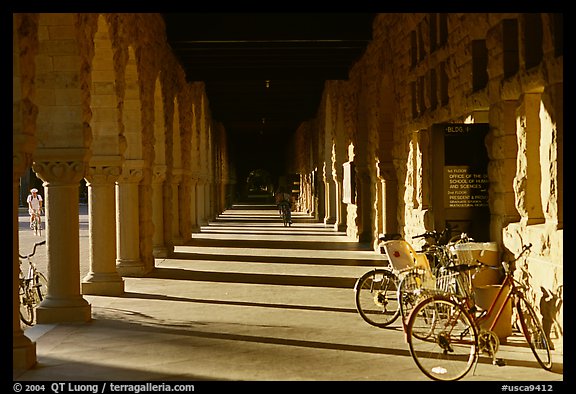 Hallway and bicycles. Stanford University, California, USA (color)