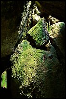 Bear Gulch talus caves. Pinnacles National Park, California, USA.
