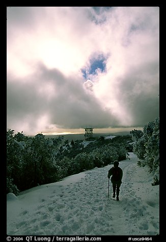 Summit trail after a snow-storm, Mt Diablo State Park. California, USA (color)