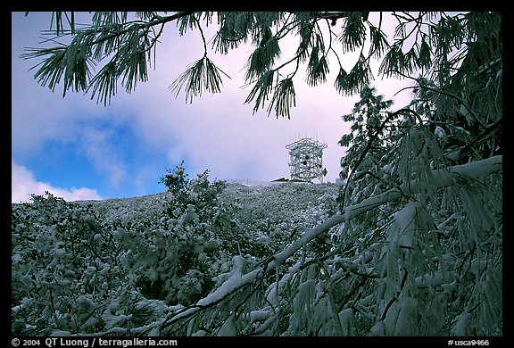 Radar station framed by snow-covered branches, Mt Diablo State Park. California, USA