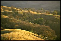 Hills, Joseph Grant County Park. San Jose, California, USA ( color)