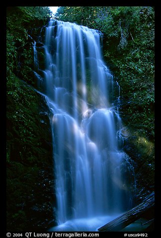 Berry Creek Falls. Big Basin Redwoods State Park,  California, USA (color)