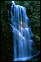 Berry Creek Falls. Big Basin Redwoods State Park,  California, USA ( color)