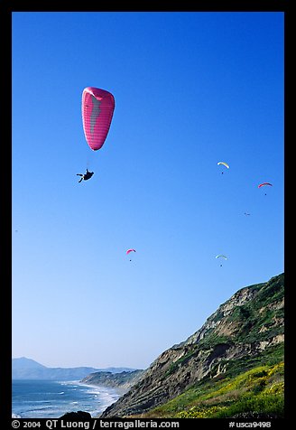 Paragliding above a sea cliff, the Dumps, Pacifica. San Mateo County, California, USA (color)