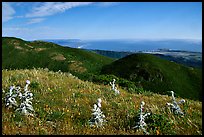 Montara Mountain and Pacific coast. San Mateo County, California, USA