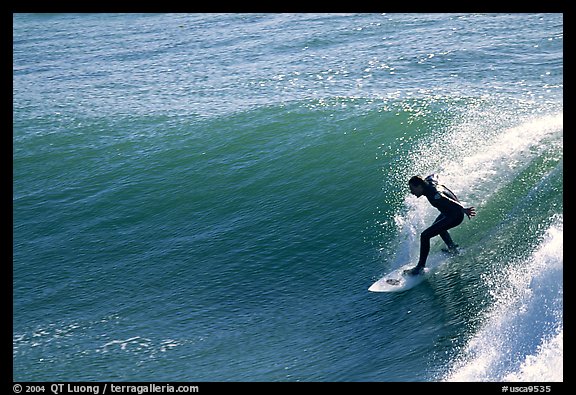 Surfer, morning. Santa Cruz, California, USA