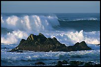 Crashing waves and rocks, Ocean drive. Pacific Grove, California, USA ( color)