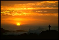 Man watching sunset over ocean. Pacific Grove, California, USA (color)