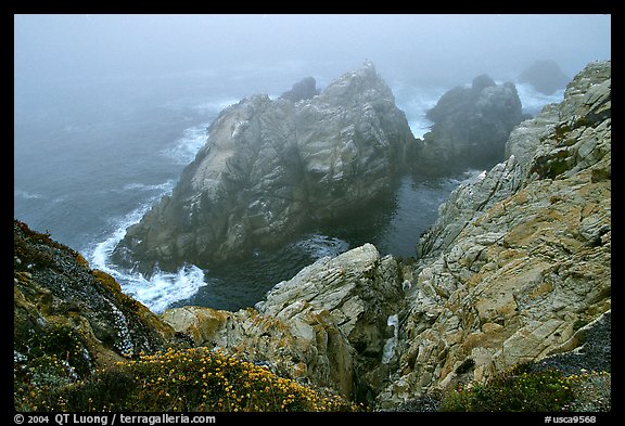 Pinnacle Cove with fog. Point Lobos State Preserve, California, USA