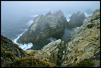Pinnacle Cove with fog. Point Lobos State Preserve, California, USA (color)