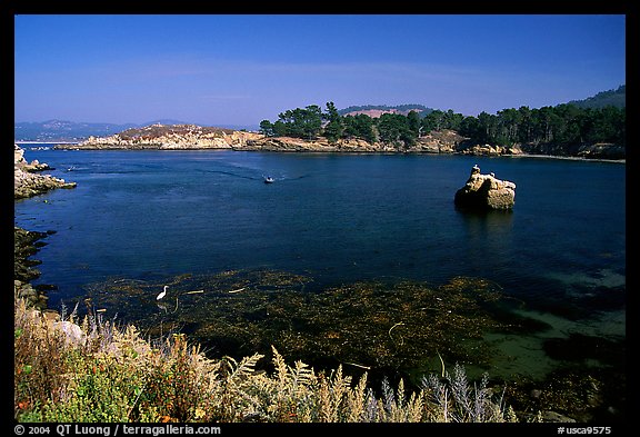 Whalers cove. Point Lobos State Preserve, California, USA (color)
