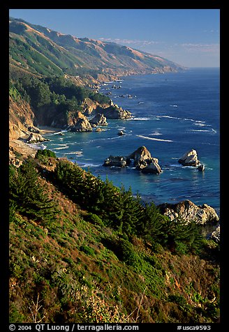 Costline from Partington Point, Julia Pfeiffer Burns State Park, late afternoon. Big Sur, California, USA