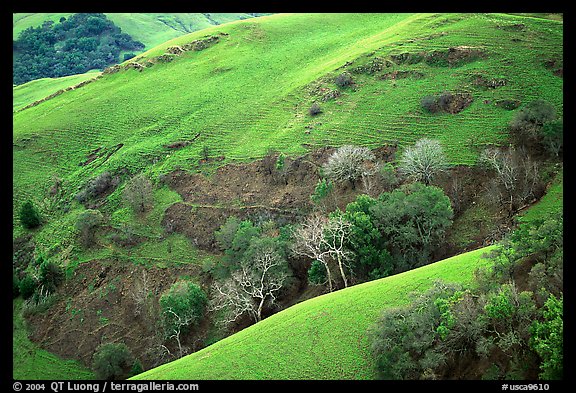 Rolling Hills in spring near San Luis Obispo. California, USA