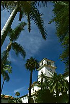 Palm trees and  courthouse. Santa Barbara, California, USA ( color)