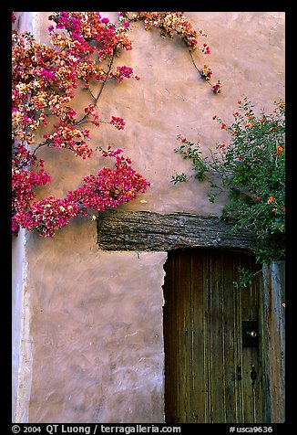 Flowers and wall, Carmel Mission. Carmel-by-the-Sea, California, USA