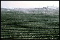 Mist and plowed field, San Joaquin Valley. California, USA