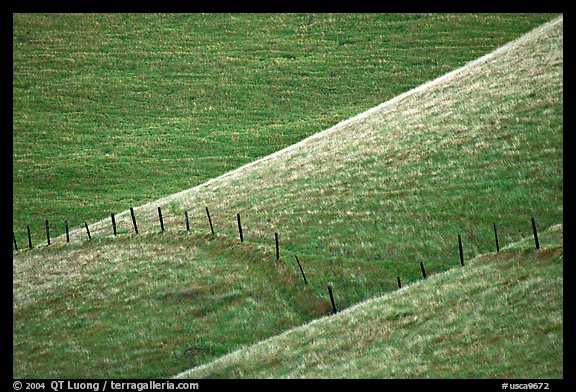 Fence on hill, Southern Sierra Foothills. California, USA