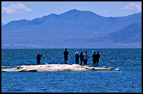 Fishermen on the shore of Salton Sea. California, USA (color)